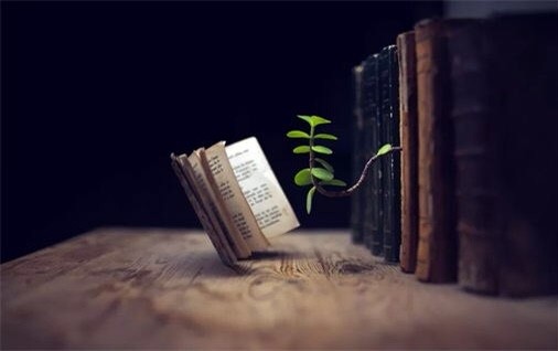最好的學區房，是家里的書房_約讀書房